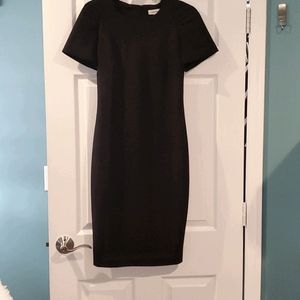 Calvin Klein Sheath Dress